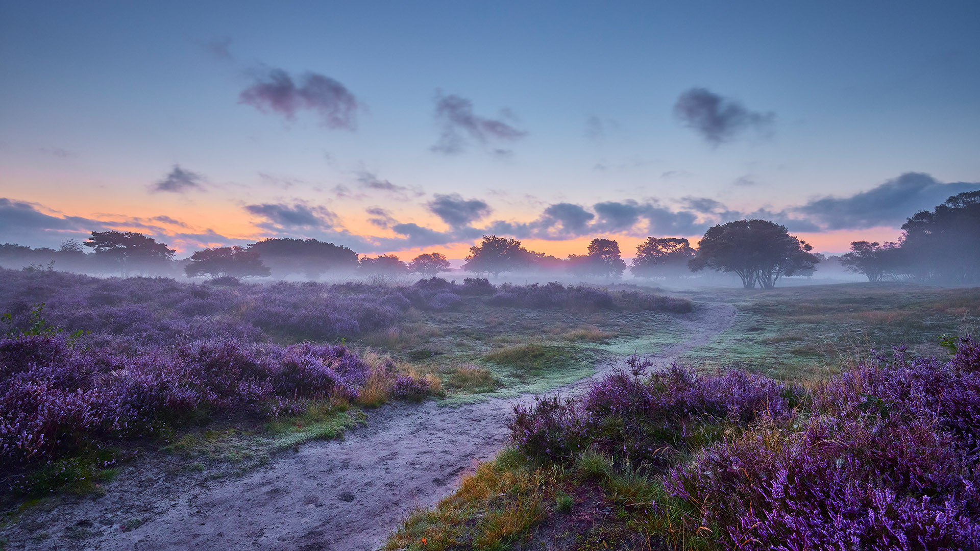 Sfeerimpressie Hoge Veluwe