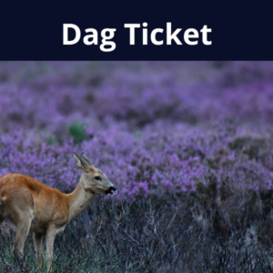 Dag Ticket