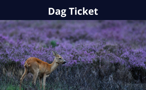 Dag Ticket