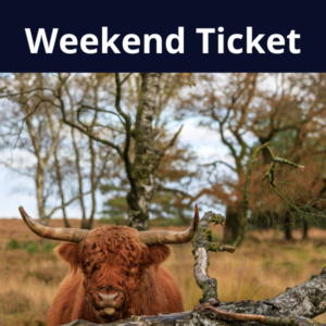 Weekend Ticket