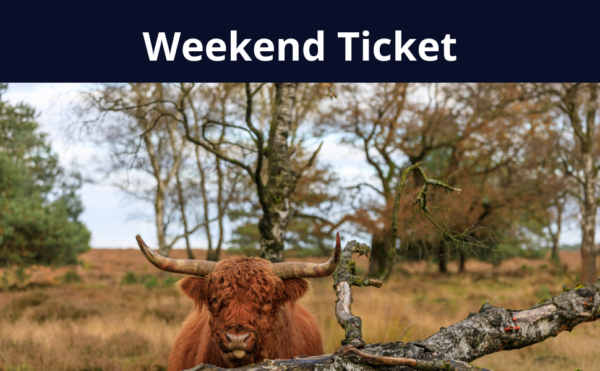 Weekend Ticket